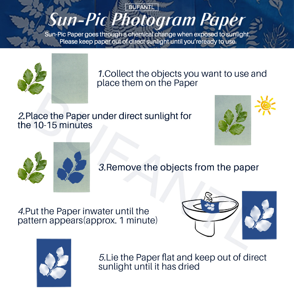 Cyanotypie-Papier 12 Blatt Nac – Photography Lighting Beginners Bewertung und Preis