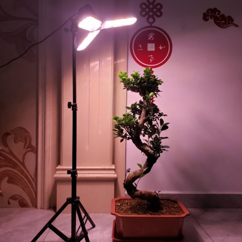 Glühbirnenständer 2M, E27 AC-S – Photography Lighting Studio Bewertung und Preis
