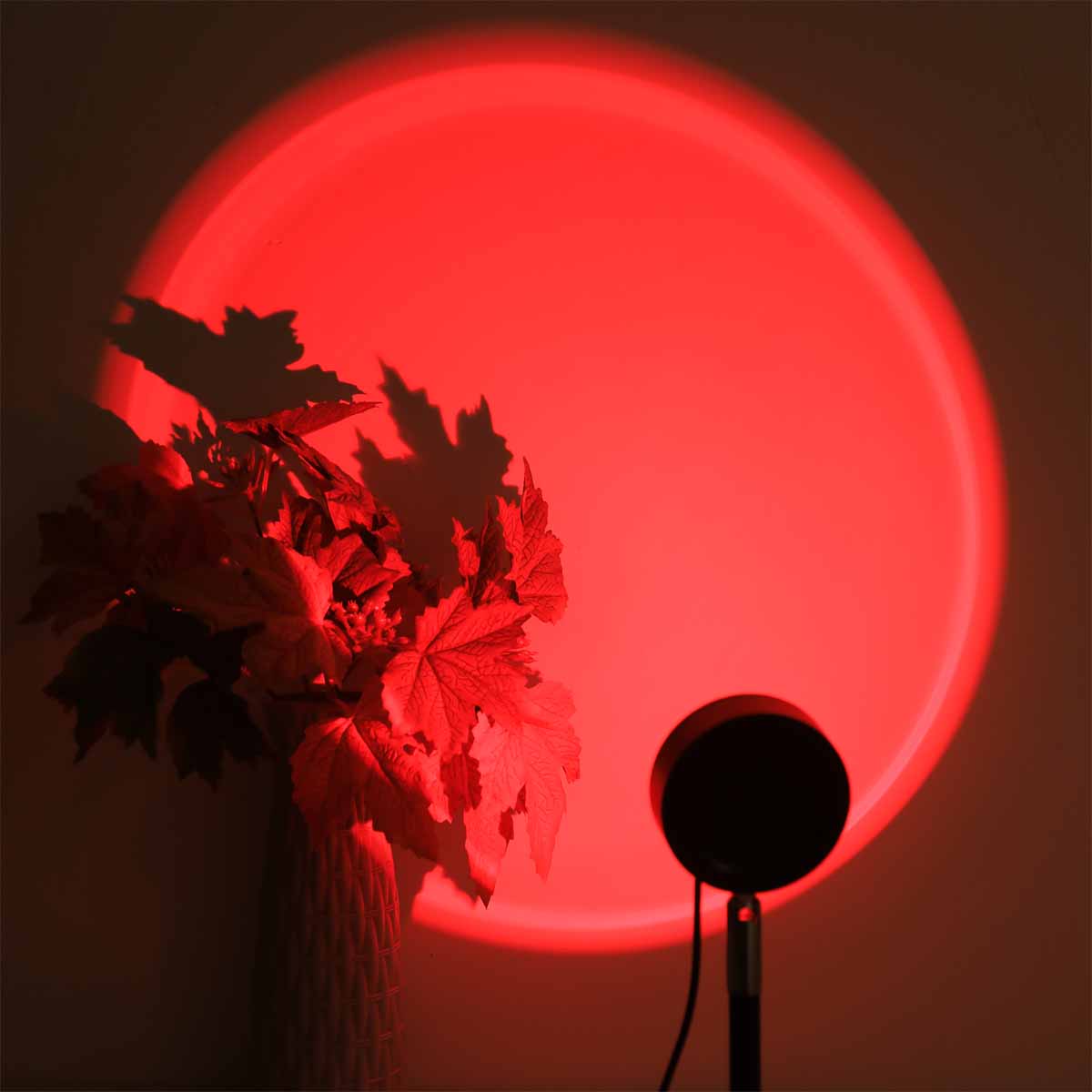 Sonnenuntergang-Projektionslic – Photography Lighting Wall Bewertung und Preis