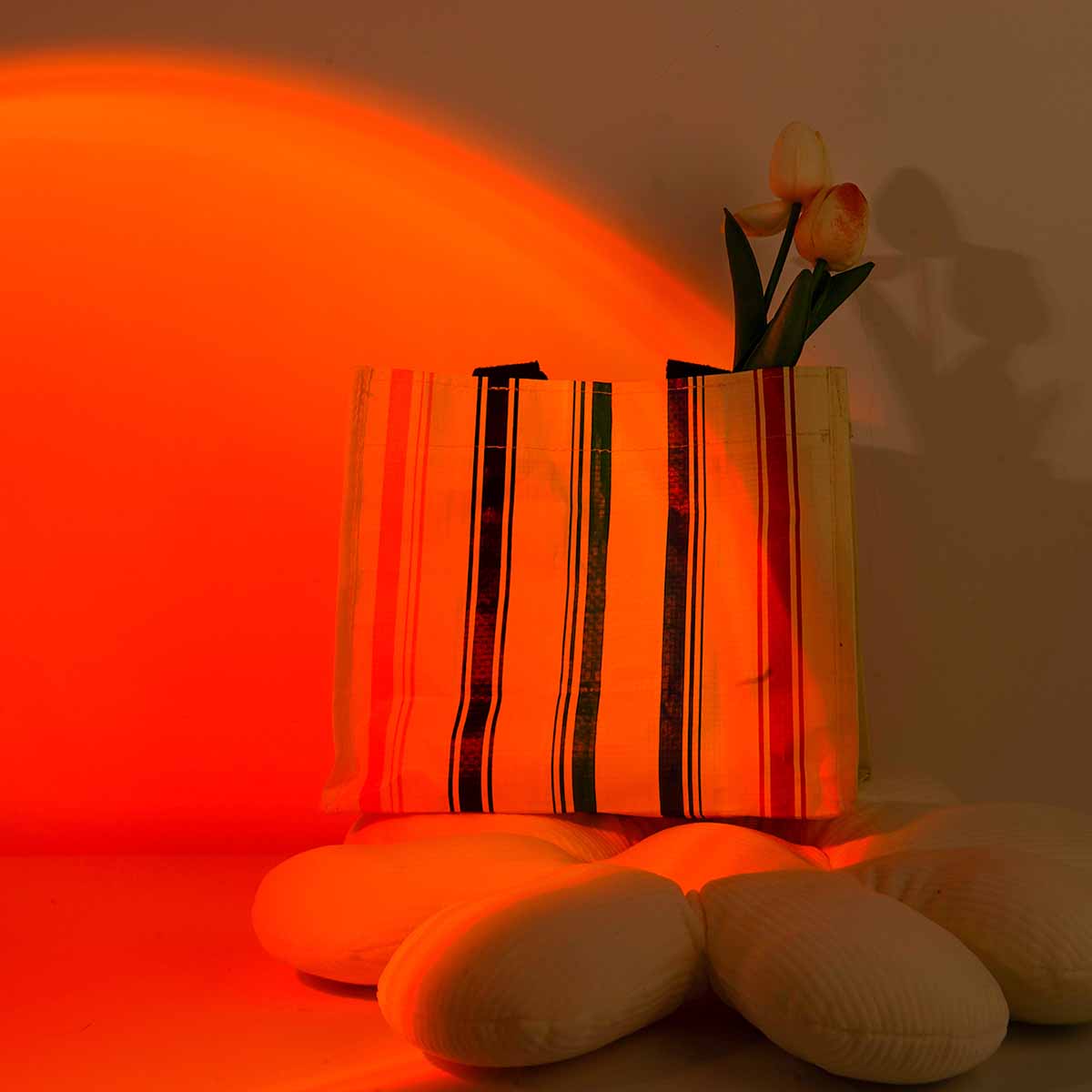 Sonnenuntergang-Projektionslic – Photography Lighting Wall Bewertung und Preis